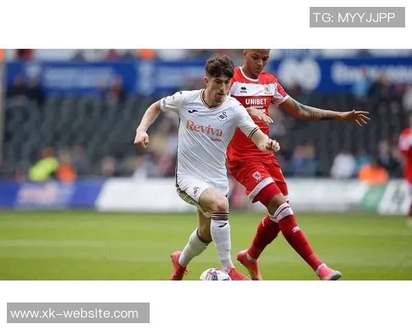 斯旺西队在英冠排名第18考虑解雇主教练艾伦希恩以寻求改变